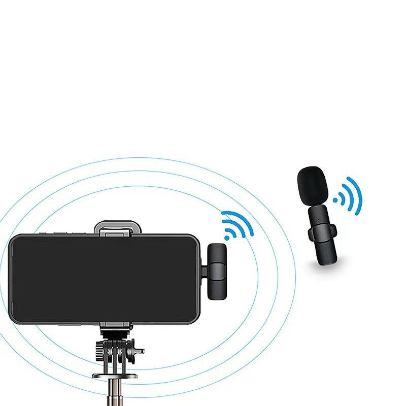 Mini Mic ( 2 Stück)