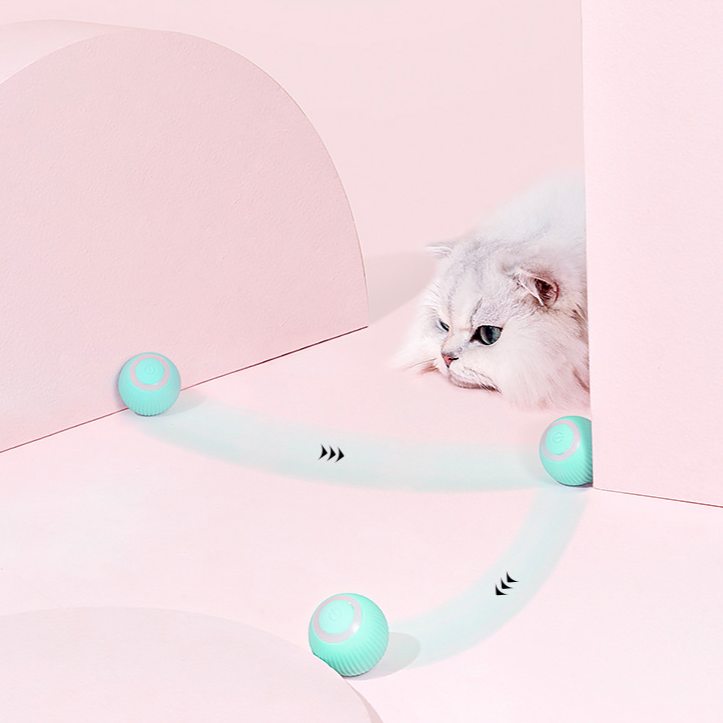 CatBall
