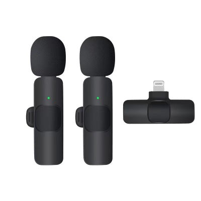 Mini Mic ( 2 Stück)