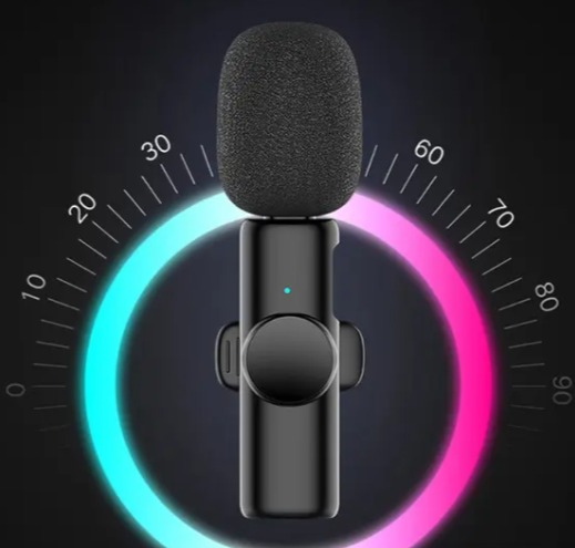 Mini Mic ( 2 Stück)