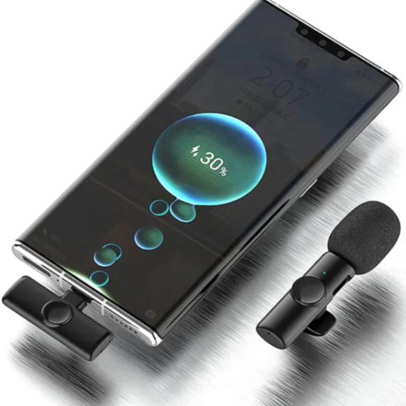 Mini Mic ( 2 Stück)