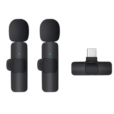 Mini Mic ( 2 Stück)